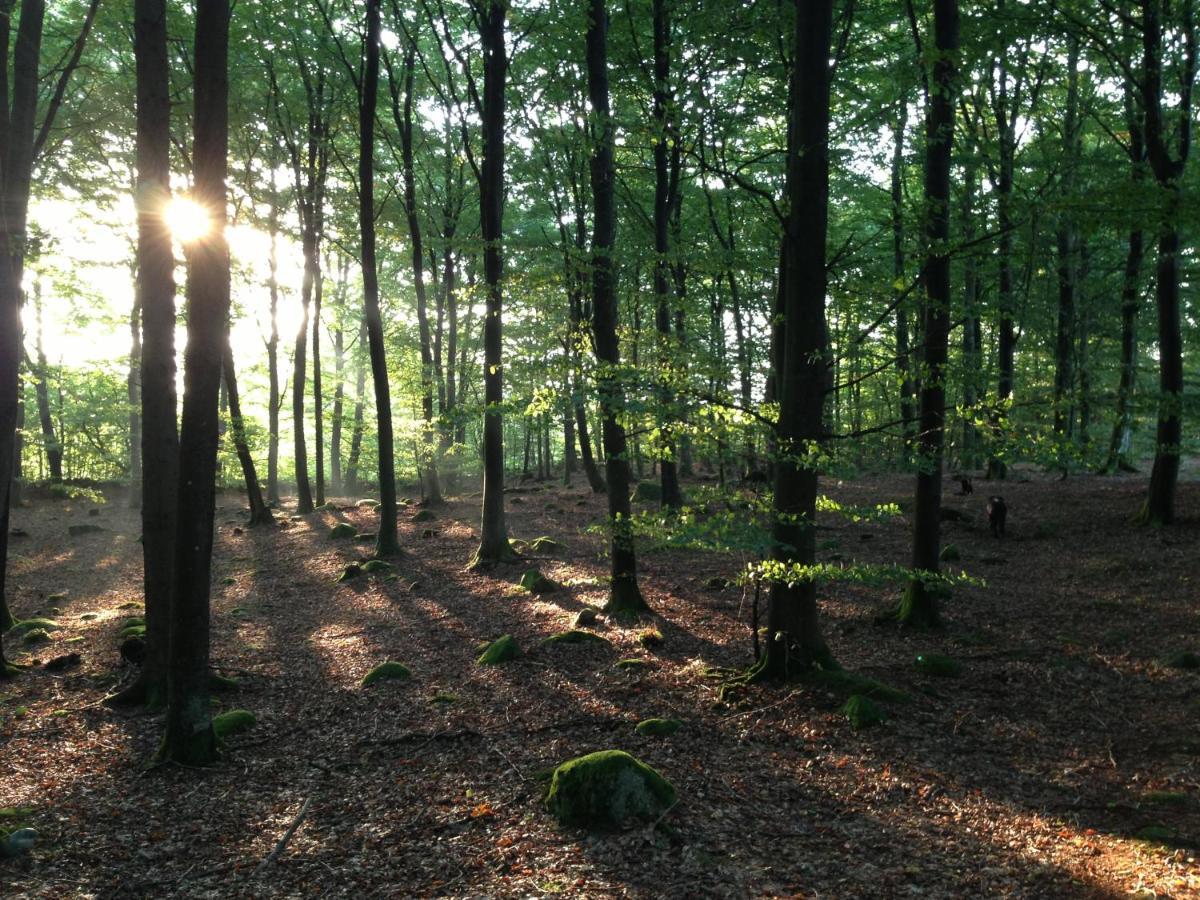 Oesterlen - Baestekille Backar *